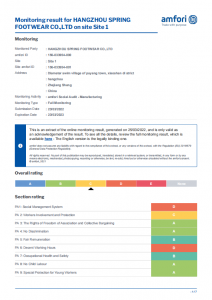 Walknice-Certification-2-ql58po8o6o9v3jm3ygitqp7yoonmcl54e8m7lv8gjc